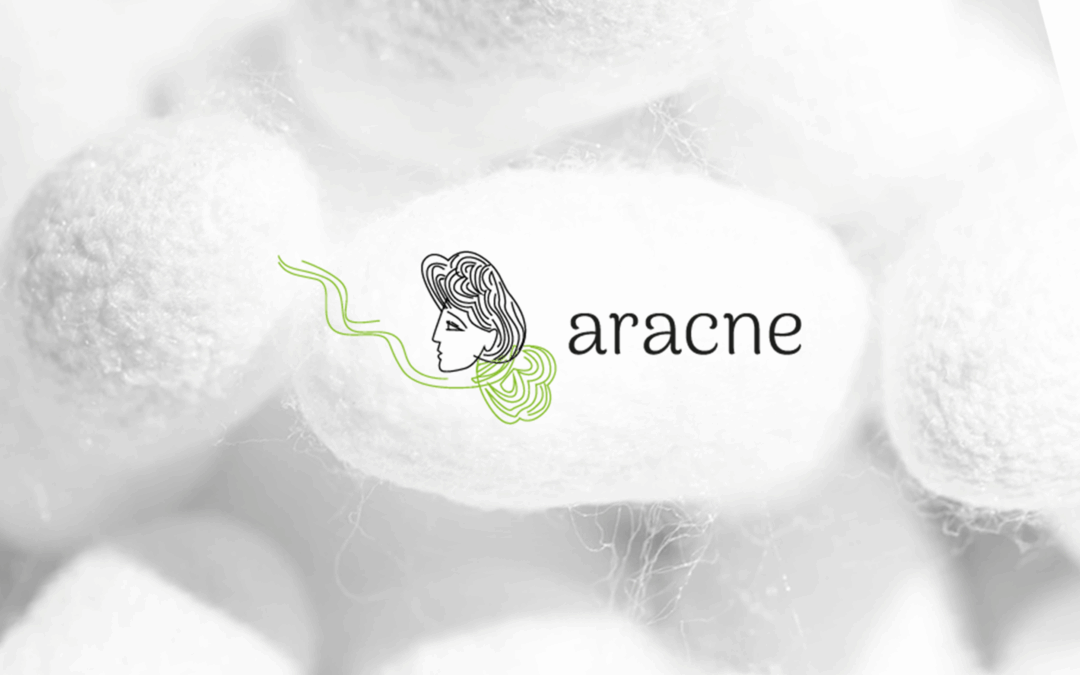 Sericyne, a Key Player in the European ARACNE Program
